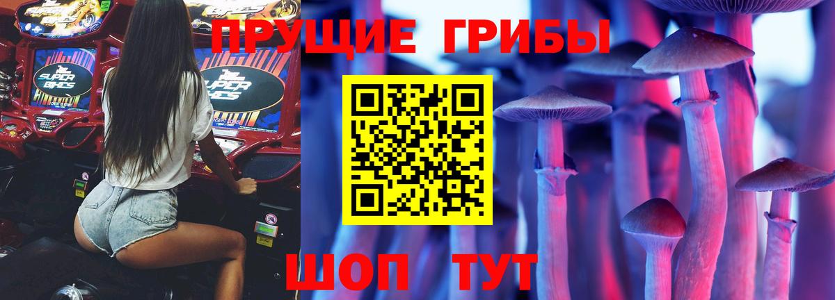 Галлюциногенные грибы прущие грибы  Вход с VPN  магазин продажи   Владикавказ 