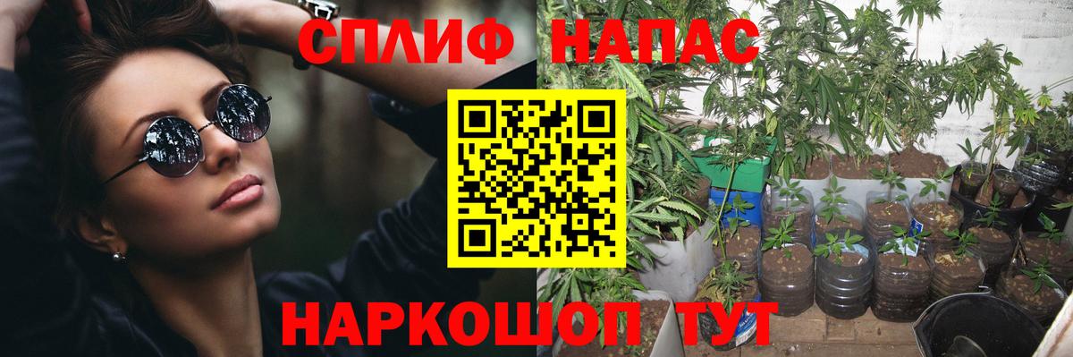 МАРИХУАНА White Widow Владикавказ